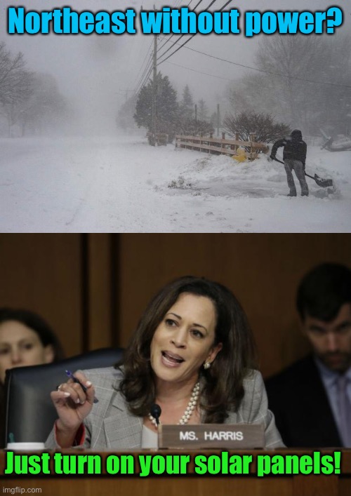 Cackle Cackle | Northeast without power? Just turn on your solar panels! | image tagged in kamala harris,northeast,snow,green energy,no power | made w/ Imgflip meme maker