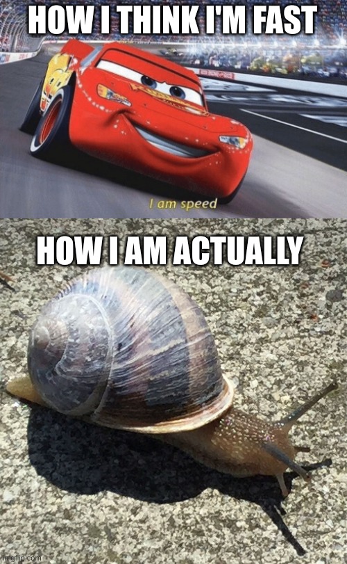 YOU'RE TOO SLOW!!! | HOW I THINK I'M FAST; HOW I AM ACTUALLY | image tagged in i am speed,slow as a snail | made w/ Imgflip meme maker