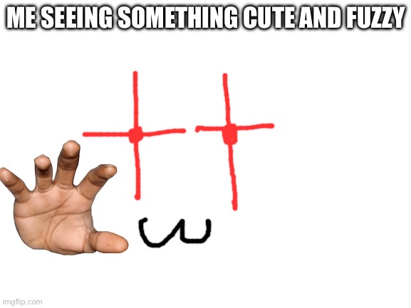 Shitty yet wholesome meme | ME SEEING SOMETHING CUTE AND FUZZY | image tagged in blank white template | made w/ Imgflip meme maker