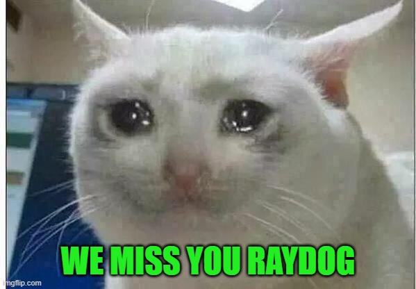 WE MISS YOU RAYDOG | image tagged in crying cat | made w/ Imgflip meme maker