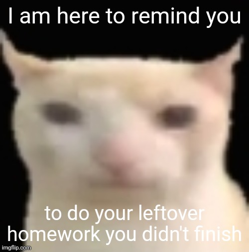 You'll thank yourself later | I am here to remind you; to do your leftover homework you didn't finish | image tagged in neutral face cat,work,homework,reminder,fun | made w/ Imgflip meme maker