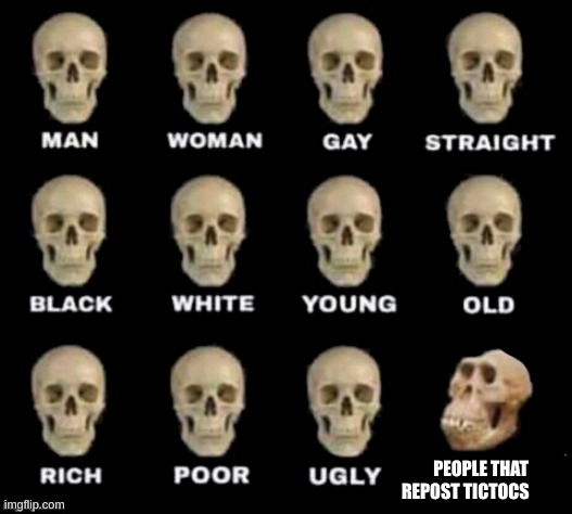 idiot skull | PEOPLE THAT REPOST TICTOCS | image tagged in idiot skull | made w/ Imgflip meme maker