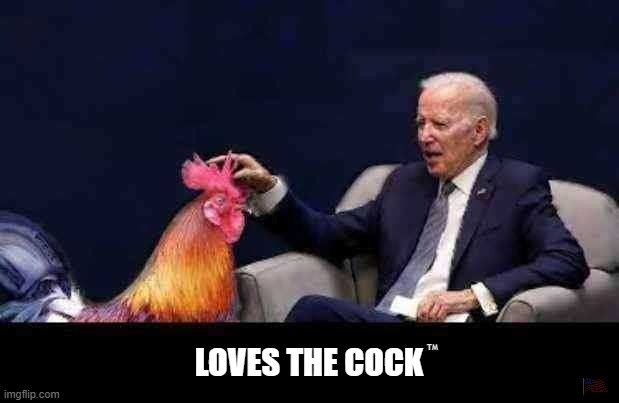 Joe Biden strokes a nice big cock. | TM; LOVES THE COCK | image tagged in loves the cock,fun,rooster,chicken,joe biden | made w/ Imgflip meme maker