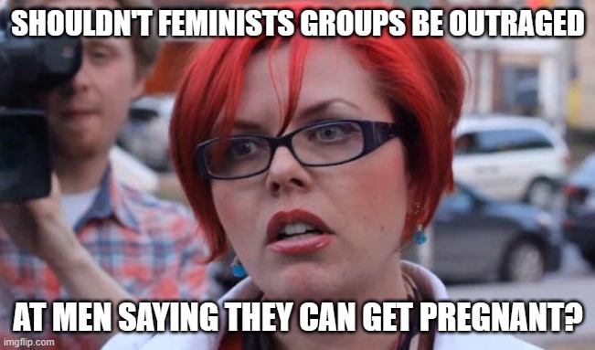 Angry Feminist | SHOULDN'T FEMINISTS GROUPS BE OUTRAGED; AT MEN SAYING THEY CAN GET PREGNANT? | image tagged in angry feminist | made w/ Imgflip meme maker