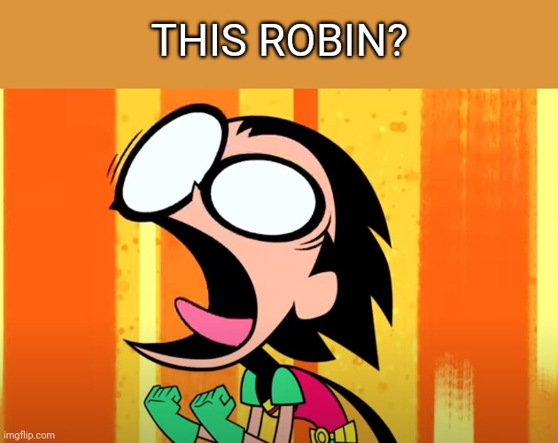 Robin Burning | THIS ROBIN? | image tagged in robin burning | made w/ Imgflip meme maker