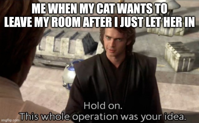 Hold on this whole operation was your idea | ME WHEN MY CAT WANTS TO LEAVE MY ROOM AFTER I JUST LET HER IN | image tagged in hold on this whole operation was your idea | made w/ Imgflip meme maker