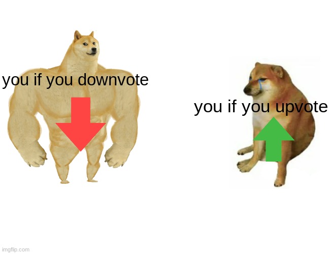 u chad if you downvote | you if you downvote; you if you upvote | image tagged in memes,buff doge vs cheems | made w/ Imgflip meme maker
