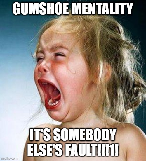 GUMSHOE MENTALITY IT'S SOMEBODY ELSE'S FAULT!!!1! | image tagged in crying girl | made w/ Imgflip meme maker