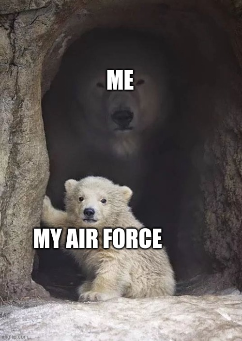 protect the drip | ME; MY AIR FORCE | image tagged in mom bear,nike,air force | made w/ Imgflip meme maker