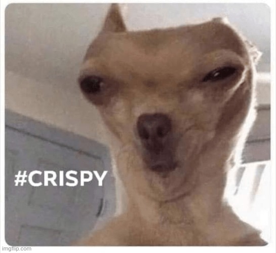 #Crispy | image tagged in crispy | made w/ Imgflip meme maker