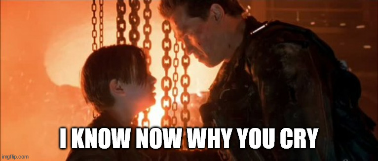 Terminator: I know now why you cry | I KNOW NOW WHY YOU CRY | image tagged in terminator i know now why you cry | made w/ Imgflip meme maker
