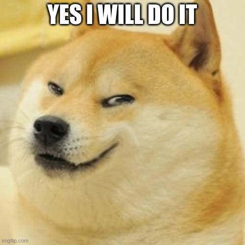 evil doge | YES I WILL DO IT | image tagged in evil doge | made w/ Imgflip meme maker