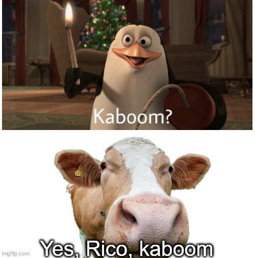 Yes, Rico, kaboom | image tagged in blank white template | made w/ Imgflip meme maker