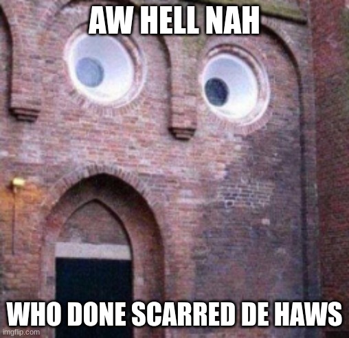 oh heavens no | AW HELL NAH; WHO DONE SCARRED DE HAWS | image tagged in surprised house,oh hell no | made w/ Imgflip meme maker