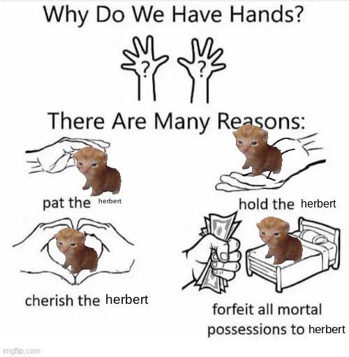 H e r b e r t | herbert; herbert; herbert; herbert | image tagged in why do we have hands all blank | made w/ Imgflip meme maker