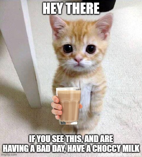 Cute Cat Meme - Imgflip