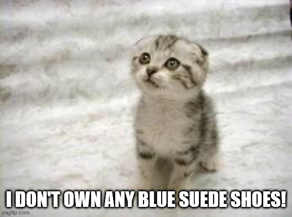 Sad Cat Meme | I DON'T OWN ANY BLUE SUEDE SHOES! | image tagged in memes,sad cat | made w/ Imgflip meme maker