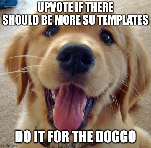 upvote for the doggo | UPVOTE IF THERE SHOULD BE MORE SU TEMPLATES; DO IT FOR THE DOGGO | image tagged in cute dog | made w/ Imgflip meme maker