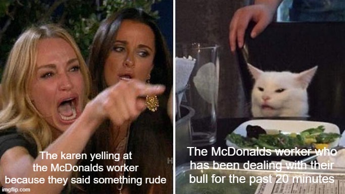 Angry lady cat | The karen yelling at the McDonalds worker because they said something rude; The McDonalds worker who has been dealing with their bull for the past 20 minutes | image tagged in angry lady cat | made w/ Imgflip meme maker