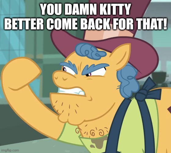 YOU DAMN KITTY BETTER COME BACK FOR THAT! | made w/ Imgflip meme maker