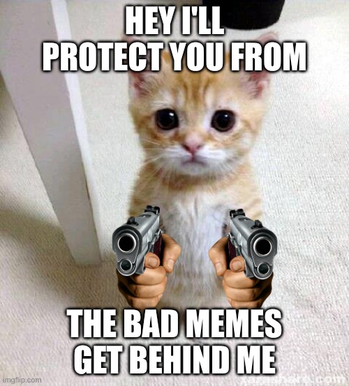 get behind me brother! | HEY I'LL PROTECT YOU FROM; THE BAD MEMES GET BEHIND ME | image tagged in memes,cute cat | made w/ Imgflip meme maker