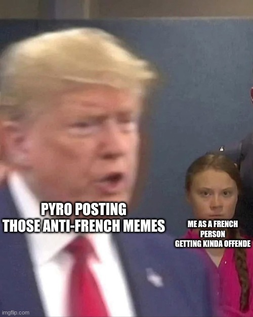 im not that offended ;-; | PYRO POSTING THOSE ANTI-FRENCH MEMES; ME AS A FRENCH PERSON GETTING KINDA OFFENDE | image tagged in greta thunberg stares at donald trump | made w/ Imgflip meme maker