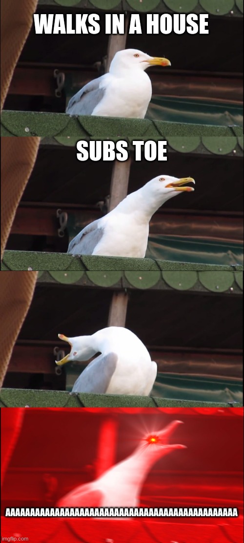 Its bleeding.... | WALKS IN A HOUSE; SUBS TOE; AAAAAAAAAAAAAAAAAAAAAAAAAAAAAAAAAAAAAAAAAAAAAAA | image tagged in memes,inhaling seagull | made w/ Imgflip meme maker