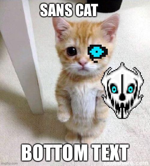 Sans cat | SANS CAT; BOTTOM TEXT | image tagged in memes,cute cat | made w/ Imgflip meme maker