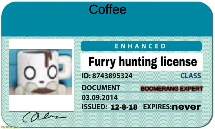 furry hunting license | Coffee; BOOMERANG EXPERT | image tagged in furry hunting license | made w/ Imgflip meme maker