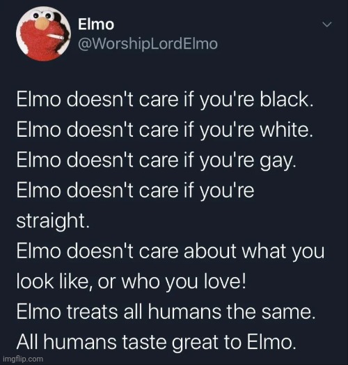 You all taste the same | image tagged in lmaoo,elmo | made w/ Imgflip meme maker