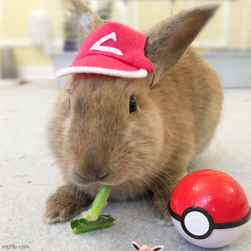 bro think he gon catch em all | made w/ Imgflip meme maker