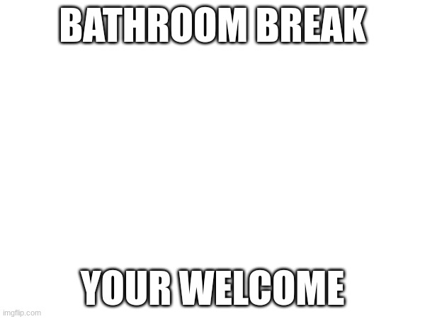 :) | BATHROOM BREAK; YOUR WELCOME | image tagged in imgflip | made w/ Imgflip meme maker