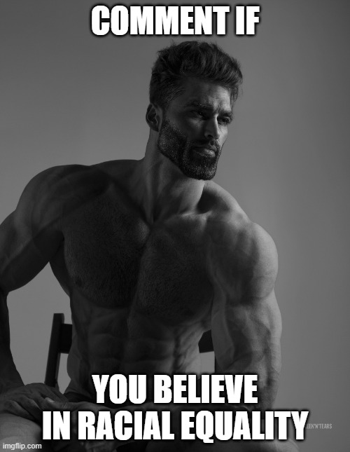 Giga Chad | COMMENT IF; YOU BELIEVE IN RACIAL EQUALITY | image tagged in giga chad | made w/ Imgflip meme maker