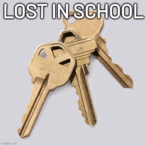 LOST IN SCHOOL | image tagged in memes,funny | made w/ Imgflip meme maker