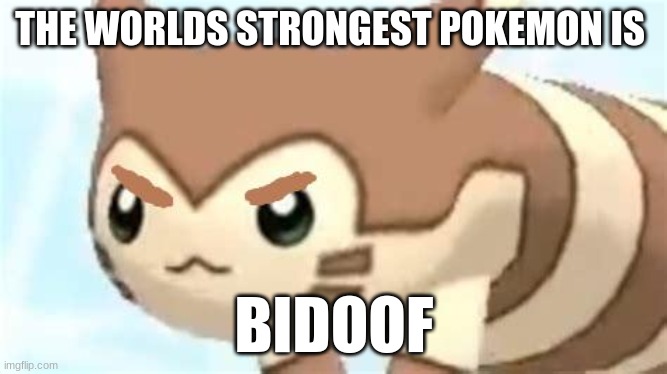 angry furret | THE WORLDS STRONGEST POKEMON IS; BIDOOF | image tagged in angry furret | made w/ Imgflip meme maker