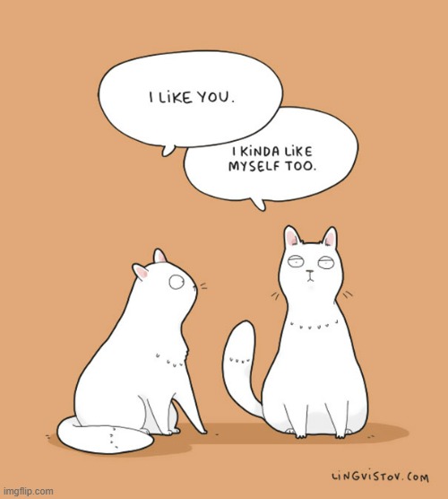 A Cat's Way Of Thinking | image tagged in memes,comics,cats,i like,you,me too | made w/ Imgflip meme maker