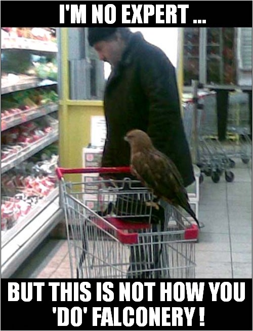Modern Hunting Skills ! | I'M NO EXPERT ... BUT THIS IS NOT HOW YOU
 'DO' FALCONERY ! | image tagged in hunting,falconery,shopping | made w/ Imgflip meme maker