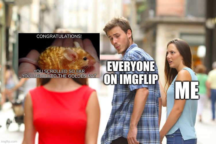 Distracted Boyfriend | EVERYONE ON IMGFLIP; ME | image tagged in memes,distracted boyfriend | made w/ Imgflip meme maker