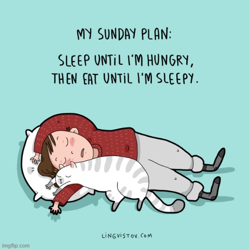 A Cat Guy's Way Of Thinking | image tagged in memes,comics,cats,sleep,eat,sunday | made w/ Imgflip meme maker