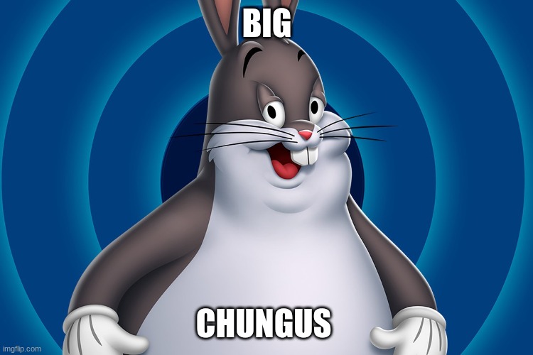 big chungus | BIG; CHUNGUS | image tagged in big chungus | made w/ Imgflip meme maker