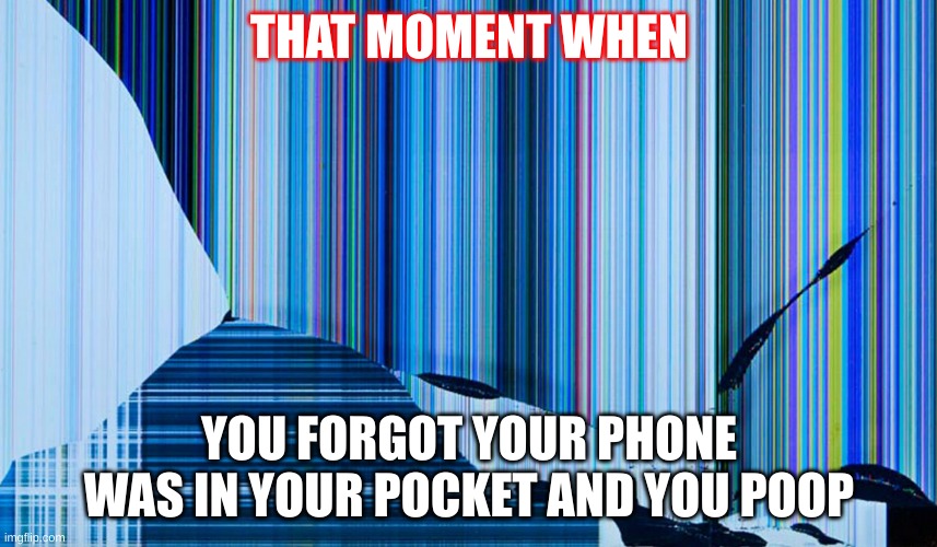 THAT MOMENT WHEN; YOU FORGOT YOUR PHONE WAS IN YOUR POCKET AND YOU POOP | made w/ Imgflip meme maker