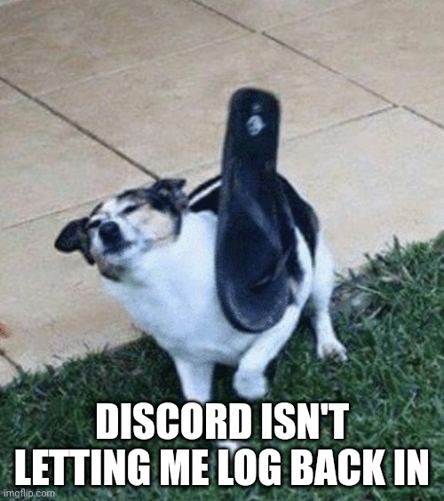 Karma probably- | DISCORD ISN'T LETTING ME LOG BACK IN | made w/ Imgflip meme maker