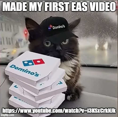 Dominos Cat | MADE MY FIRST EAS VIDEO; https://www.youtube.com/watch?v=i3KSxCrkNJk | image tagged in dominos cat | made w/ Imgflip meme maker