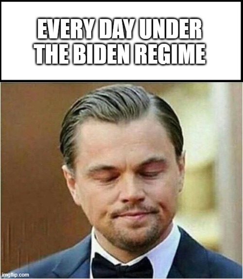 Frustrated Leo | EVERY DAY UNDER THE BIDEN REGIME | image tagged in frustrated leo | made w/ Imgflip meme maker