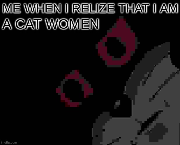 NOOOOOOOOOOOOOOOOOOOOOOO | ME WHEN I RELIZE THAT I AM; A CAT WOMEN | image tagged in memes,unsettled tom | made w/ Imgflip meme maker