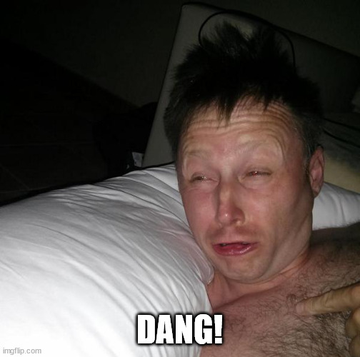 Limmy waking up | DANG! | image tagged in limmy waking up | made w/ Imgflip meme maker