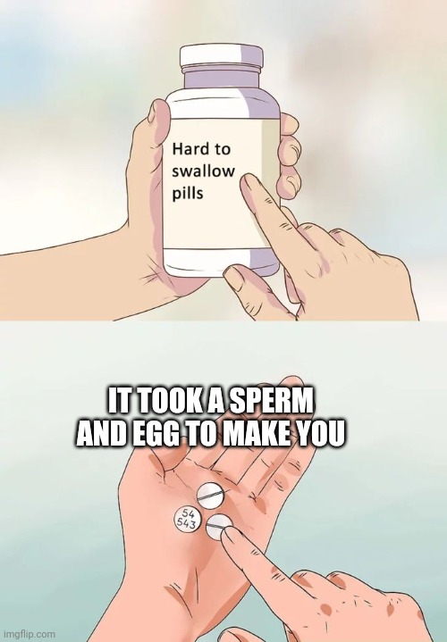 Hard To Swallow Pills Meme | IT TOOK A SPERM AND EGG TO MAKE YOU | image tagged in memes,hard to swallow pills,hard,truth | made w/ Imgflip meme maker