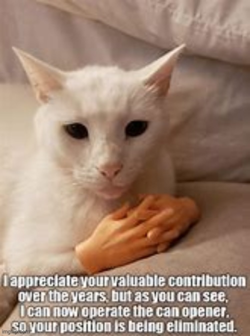 Cat's Got Hands | image tagged in cat | made w/ Imgflip meme maker