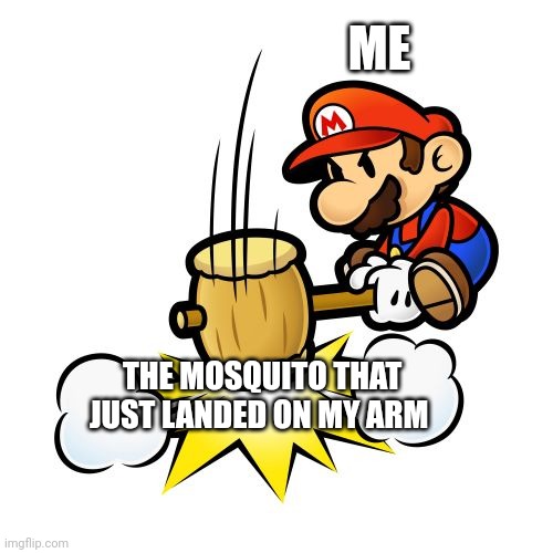 Die mosquito, DIIIIIEEEEEEE!!!!!! | ME; THE MOSQUITO THAT JUST LANDED ON MY ARM | image tagged in memes,mario hammer smash | made w/ Imgflip meme maker