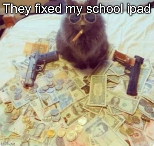 The Cat | They fixed my school iPad | image tagged in the cat | made w/ Imgflip meme maker